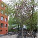 Bild1