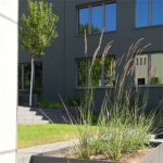 Foto Schöndorf 3